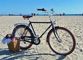 Thing To Do Bike Rentals 